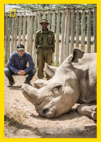 巨星环境保卫战2